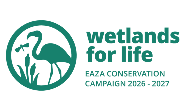 Kampaň EAZA 2026-2027 „Wetlands for life“