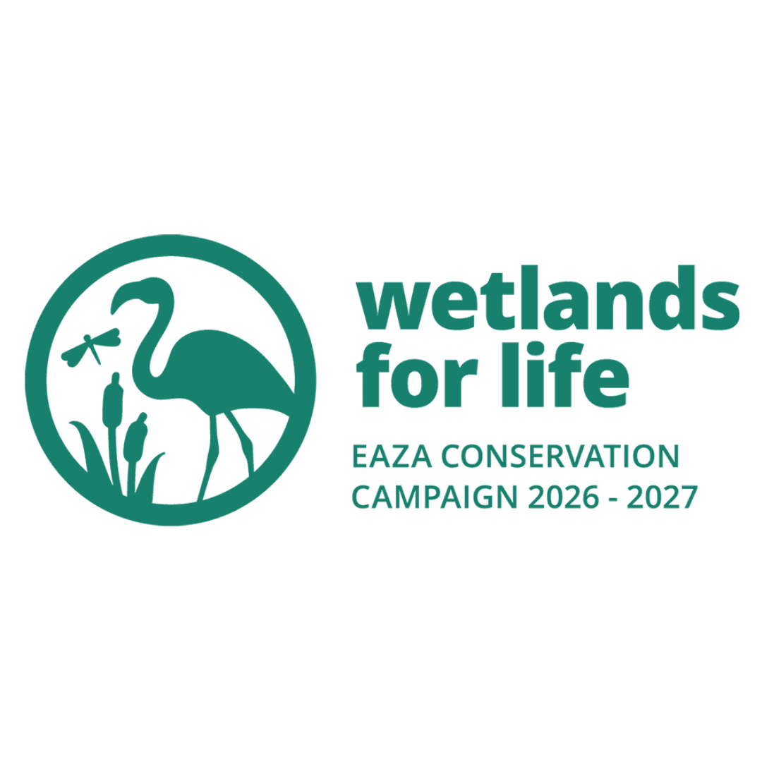 Kampaň EAZA 2026-2027 „Wetlands for life“